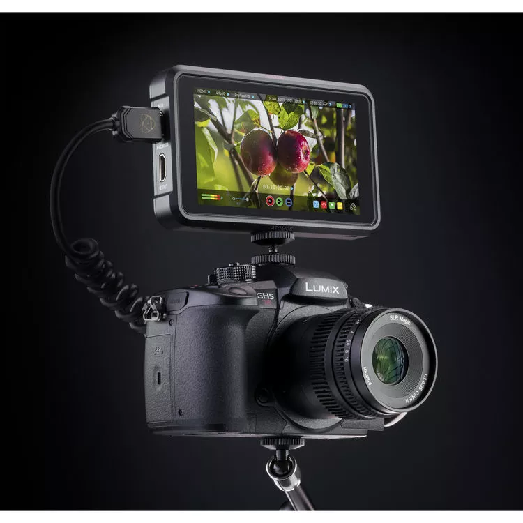 gh5 with atomos ninja v