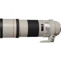 Canon EF 300mm f/4.0L IS USM Lens