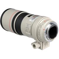 Canon EF 300mm f/4.0L IS USM Lens