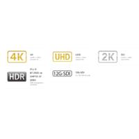 Canon DP-V3120 31" 4K HDR Referans Monitorü