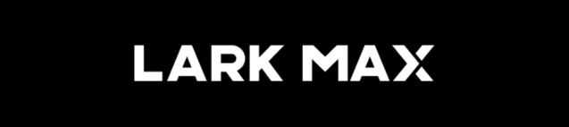 Lark-max logo